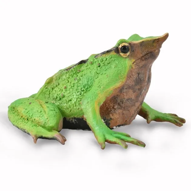 CollectA Darwin's Frog Figurine M